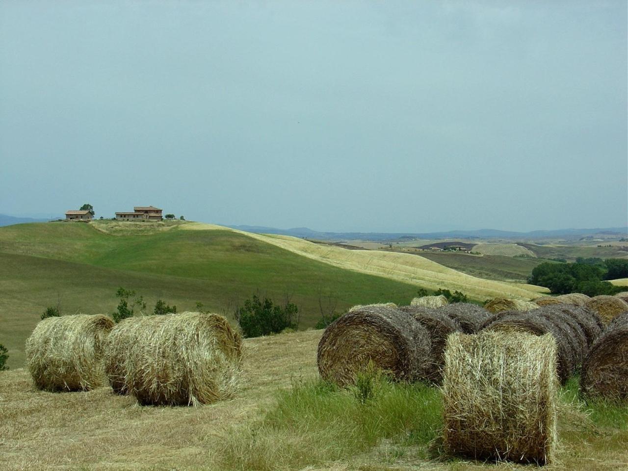 Tenuta Di Corsano Monteroni dʼArbia Exteriér fotografie