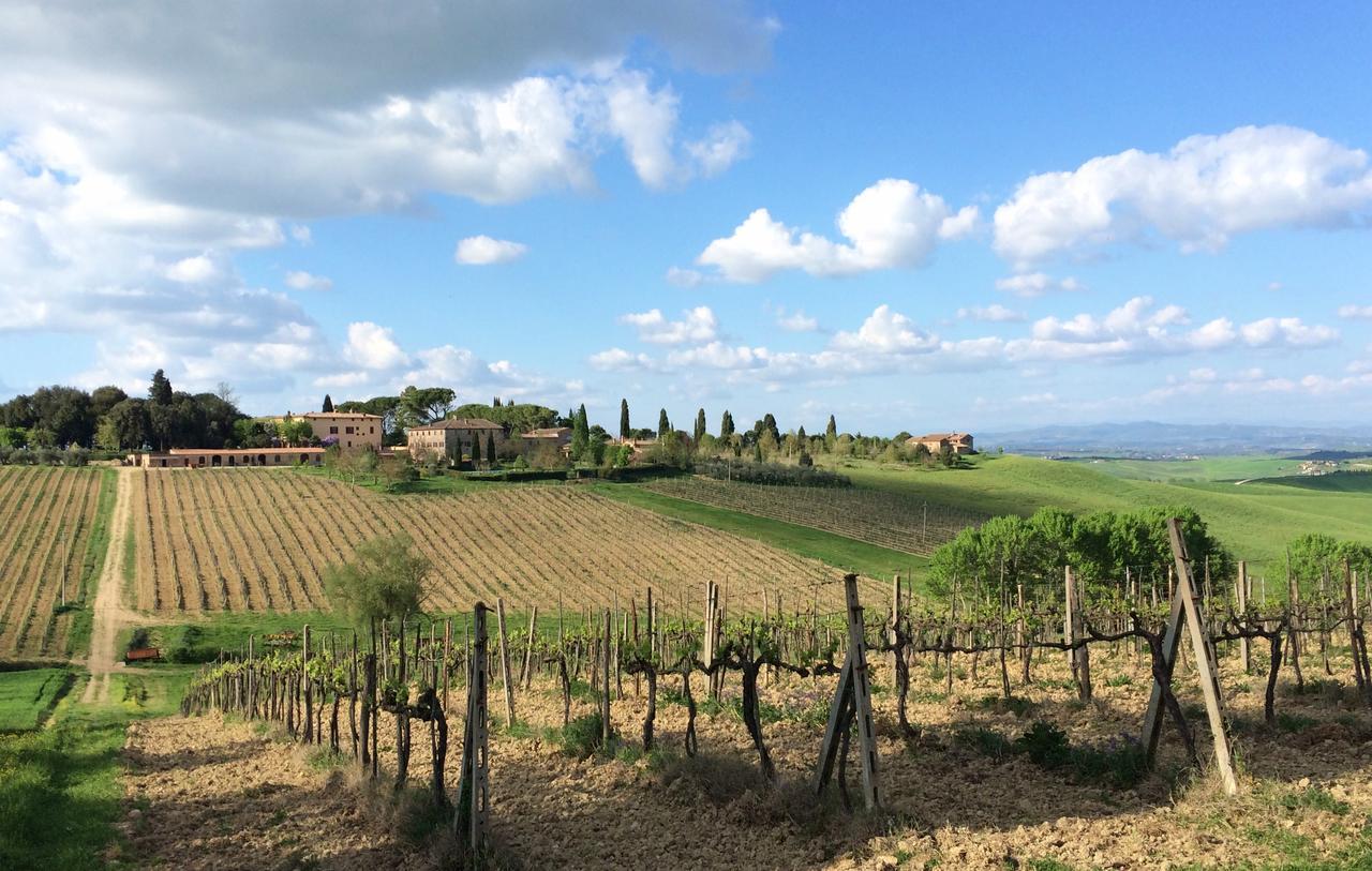 Tenuta Di Corsano Monteroni dʼArbia Exteriér fotografie